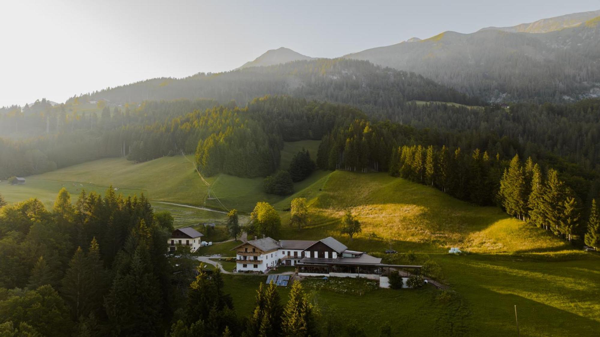 Bio-Bergbauernhof Weger Apartment Dellach  Exterior foto